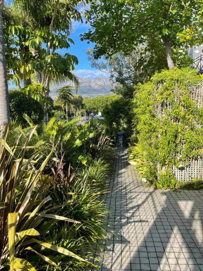 Constantiaberg Eco-Villa Κέιπ Τάουν Εξωτερικό φωτογραφία